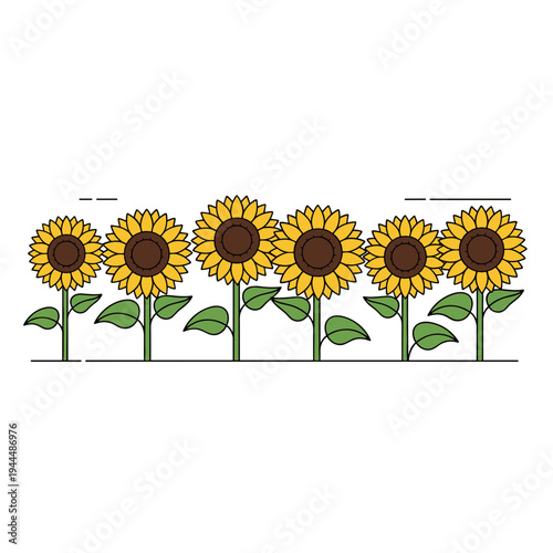 A row of cheerful cartoon sunflowers with green leaves and brown centers on white background