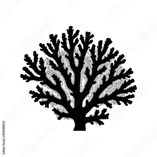 Stylized black coral branch illustration with intricate dot pattern on white background