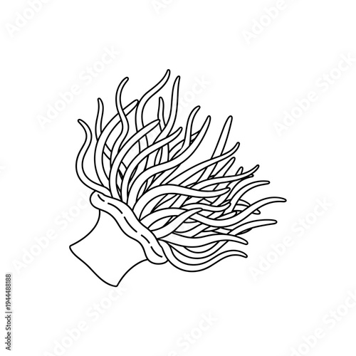 Simple line drawing of a sea anemone with flowing tentacles on a white background