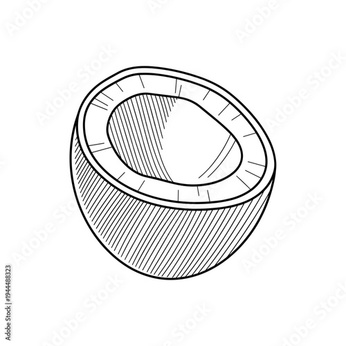 Hand-drawn sketch of a halved coconut with visible white flesh and husk texture