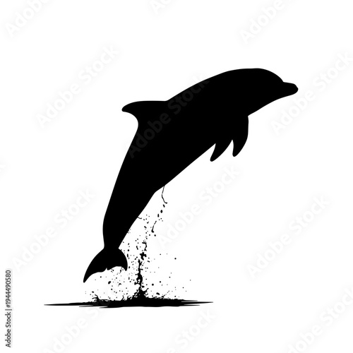 Silhouette of a dolphin leaping out of the water with a splash