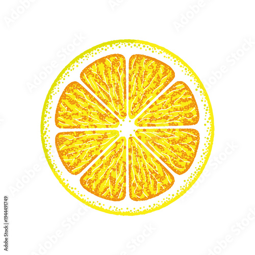 Vibrant yellow lemon slice illustration with detailed texture and white background