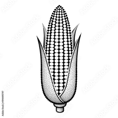 Stylized dot art illustration of a ripe ear of corn with green husks