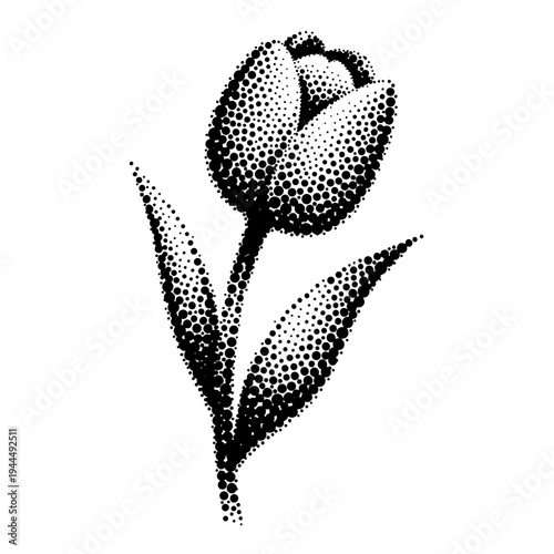 Elegant black and white tulip illustration created with stippling technique