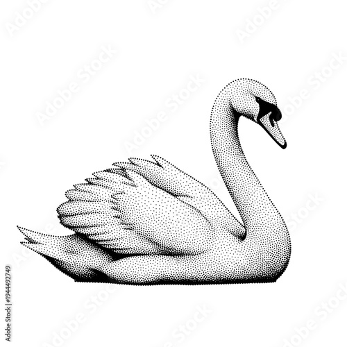 Elegant white swan rendered in stippling technique on a clean white background