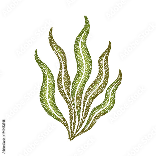 Stylized green seaweed with wavy fronds rendered in a dotted pointillism technique