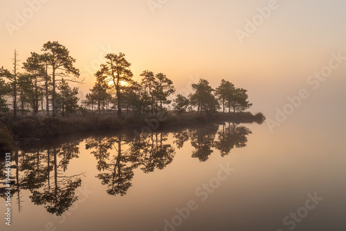 Photos A mystical early autumn morning in a foggy swamp