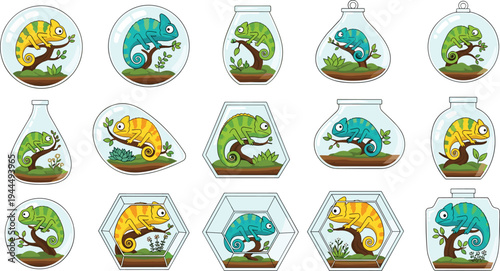 Chameleon terrarium vector collection featuring cute colorful lizards inside glass jars and geometric containers with plants for pet care reptile hobby and vivarium illustration designs.