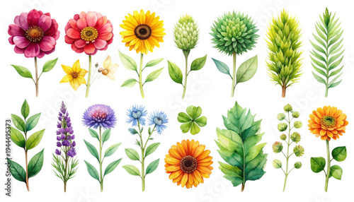 A vibrant collection of various flowers and plants showcasing nature's diverse beauty isolated on transparent background