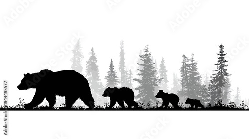 Bear family silhouette walking through a coniferous forest landscape. Mother bear and cubs in wildlife nature scene.