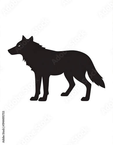 Silhouette of a Wolf Standing Alert and Focused.