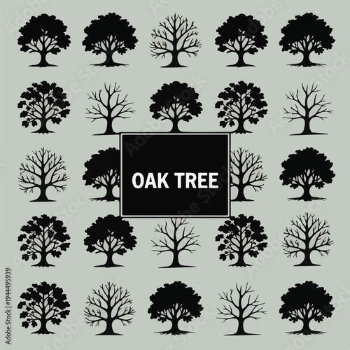 Oak tree silhouettes in various seasons, deciduous and bare branches, natural icons for autumn and spring landscape design