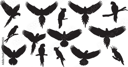 Vibrant collection of tropical parrot and macaw silhouettes in dynamic poses, showcasing elegant flight and graceful perching, perfect for exotic wildlife designs and artistic projects