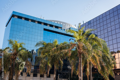 Contemporary glass office building with reflective blue facade behind tall palm trees under clear sky, illustrating modern business district architecture in a warm urban climate.