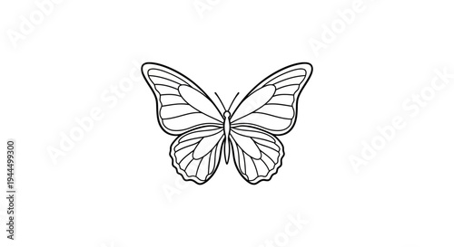 Elegant minimalist butterfly line art drawing icon, black outline insect graphic isolated on white, delicate nature element