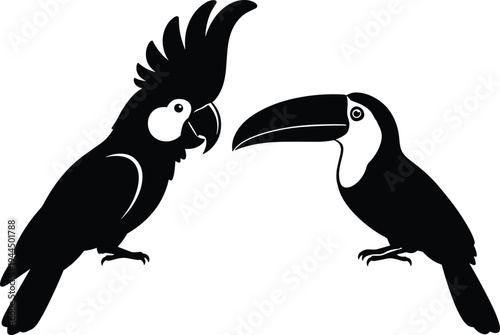 Parrot and toucan bird silhouettes facing each other tropical wildlife vector illustration isolated design for mascot logo emblem decoration