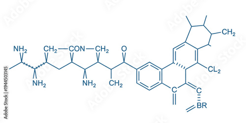 Chemical structure of the drug sorafenib with labeled atoms and bonds Vector