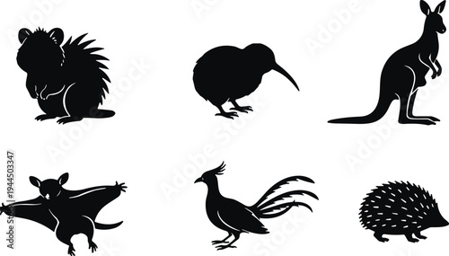 Set of Australian animal silhouettes, kangaroo icon, kiwi bird, sugar glider, echidna, wombat, lyrebird, isolated wildlife vector illustrations, oceanic fauna graphics, nature icons.
