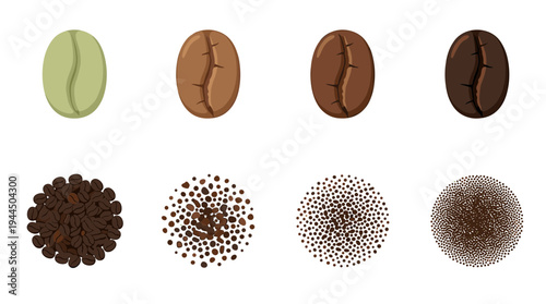 Professional coffee bean roasting stages and grinding levels set from green beans to dark roast and fine powder for cafe and barista industry graphics.