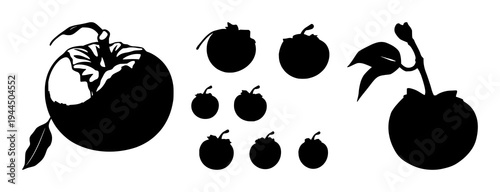 Persimmon set with solid black silhouette of a whole persimmon fruit with a small stem featuring botanical, seasonal, solid fill with white background and vector