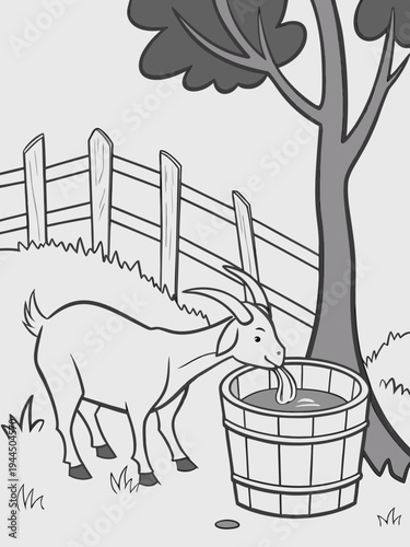 A goat drinking water from a bucket