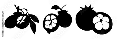 Mangosteen cross-section set with solid black silhouette on white background featuring laboratory-grown, exotic, future food with fruit and biology