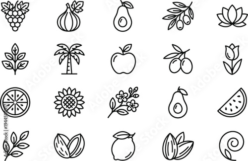 Hand drawn botanical fruit and plant icon collection with avocado olive citrus flowers tropical leaves minimal outline vector illustration set