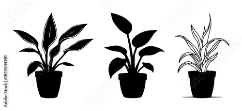 Snake plant set with minimalist indoor garden illustration featuring terracotta pot, bold outlines, houseplant with home decor and botanical design