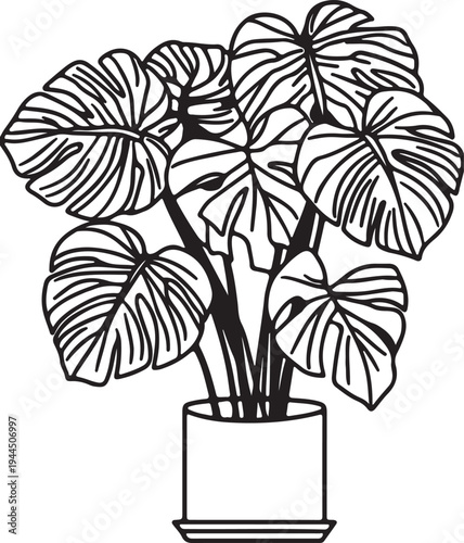 Monstera Deliciosa Plant Line Art Illustration: Minimalist Potted Swiss Cheese Plant Vector Drawing with Bold Black Outlines for Interior Design,
