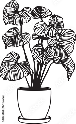 Monstera Deliciosa Plant Line Art Illustration: Minimalist Potted Swiss Cheese Plant Vector Drawing with Bold Black Outlines for Interior Design,