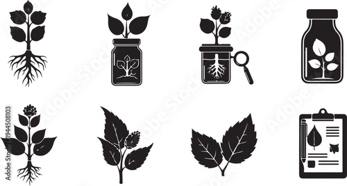 Botanical icons for plant growth and biology studies