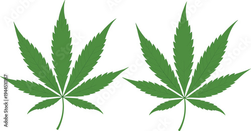 Cannabis leaves vector illustration, green marijuana plant icons isolated on white background, hemp symbol botanical design