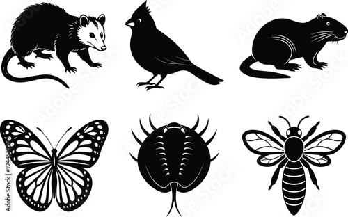 Silhouettes of various animals and insects on white background