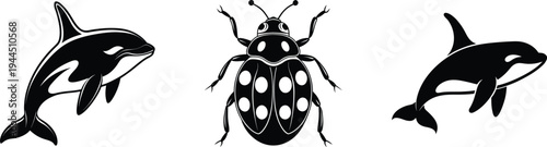 Black silhouettes of orca whale insect beetle on white background
