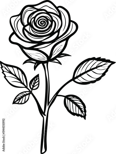Line Art Rose Flower Single Stem Detailed Petals Leaves Black and White Vector