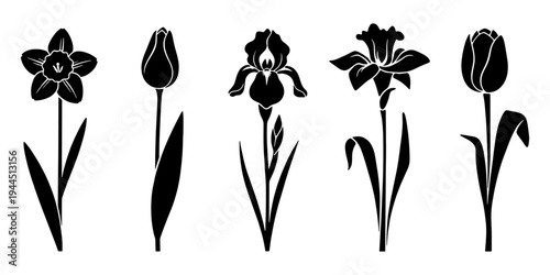 Element Black Silhouettes of Spring Flowers