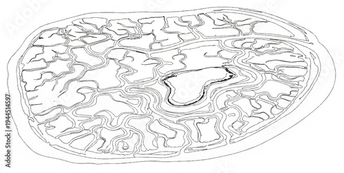 A stylized black and white illustration of a river delta or estuary system