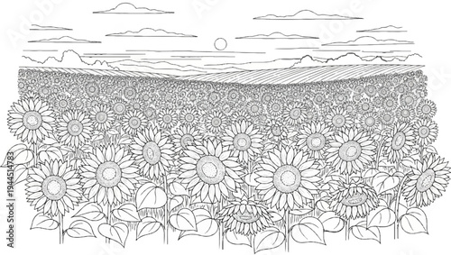 A vast field of sunflowers under a cloudy sky with a sun