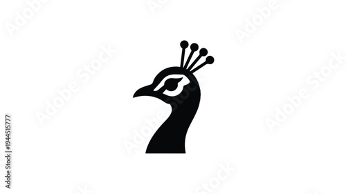 A peacock head silhouette against a plain background with feathers