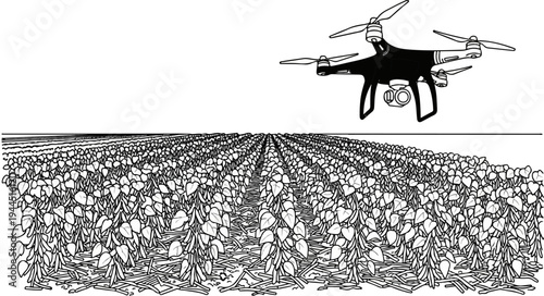 Drone flies over vast cultivated rows of plants stretching to the horizon