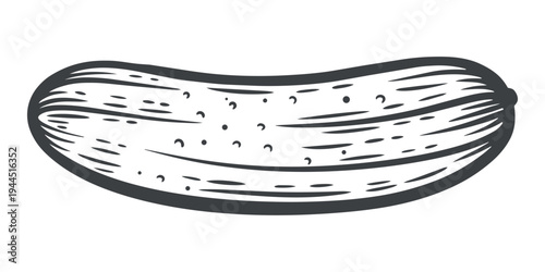 Cucumber one, whole, texture, lines, hand-drawn, black and white, graphic illustration, engraving isolated