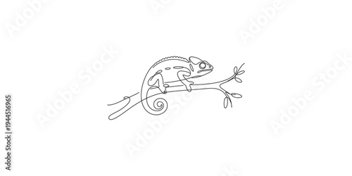 Continuous line drawing of a chameleon on a branch in a minimalist style art animal