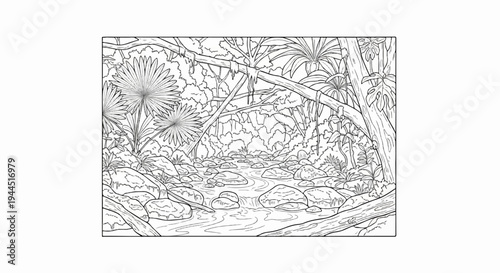 Lush jungle stream with large rocks and dense tropical foliage, artistic outline