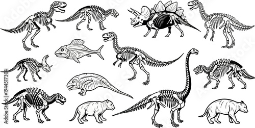 Collection of dinosaur and ancient animal skeletons in black and white