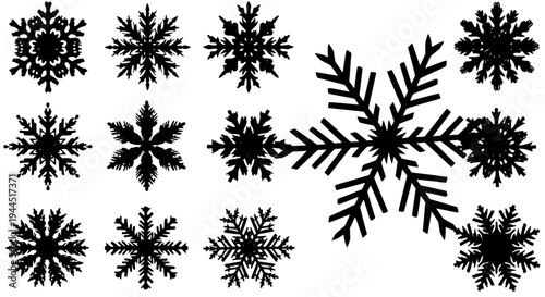 Snowflakes set with black silhouettes and intricate patterns on white background featuring snow flakes, winter, frost