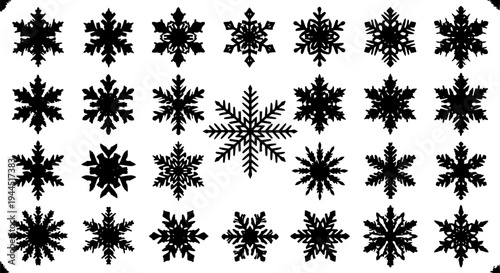 Snowflakes black set with various symmetrical patterns and shapes on white background featuring winter, snow, frost