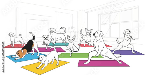 Dogs practicing various yoga poses on colorful mats in a bright studio