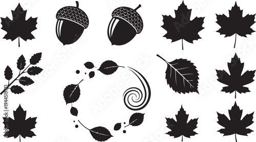 Black silhouettes of leaves and acorns on white background