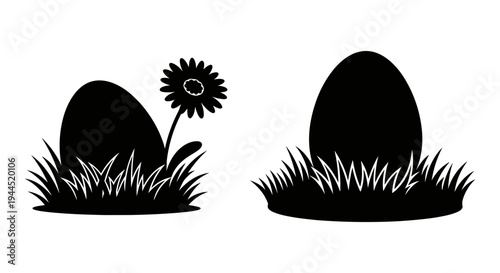 Two contrasting eggs emerging from grass with a flower on the left one Vector, illustration