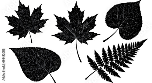 Four stylized maple leaves in black and white illustration.